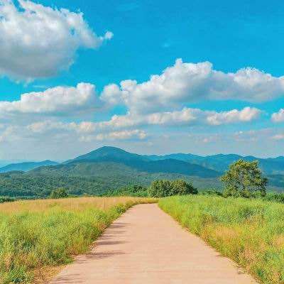 kok中欧登录入口手机app下载